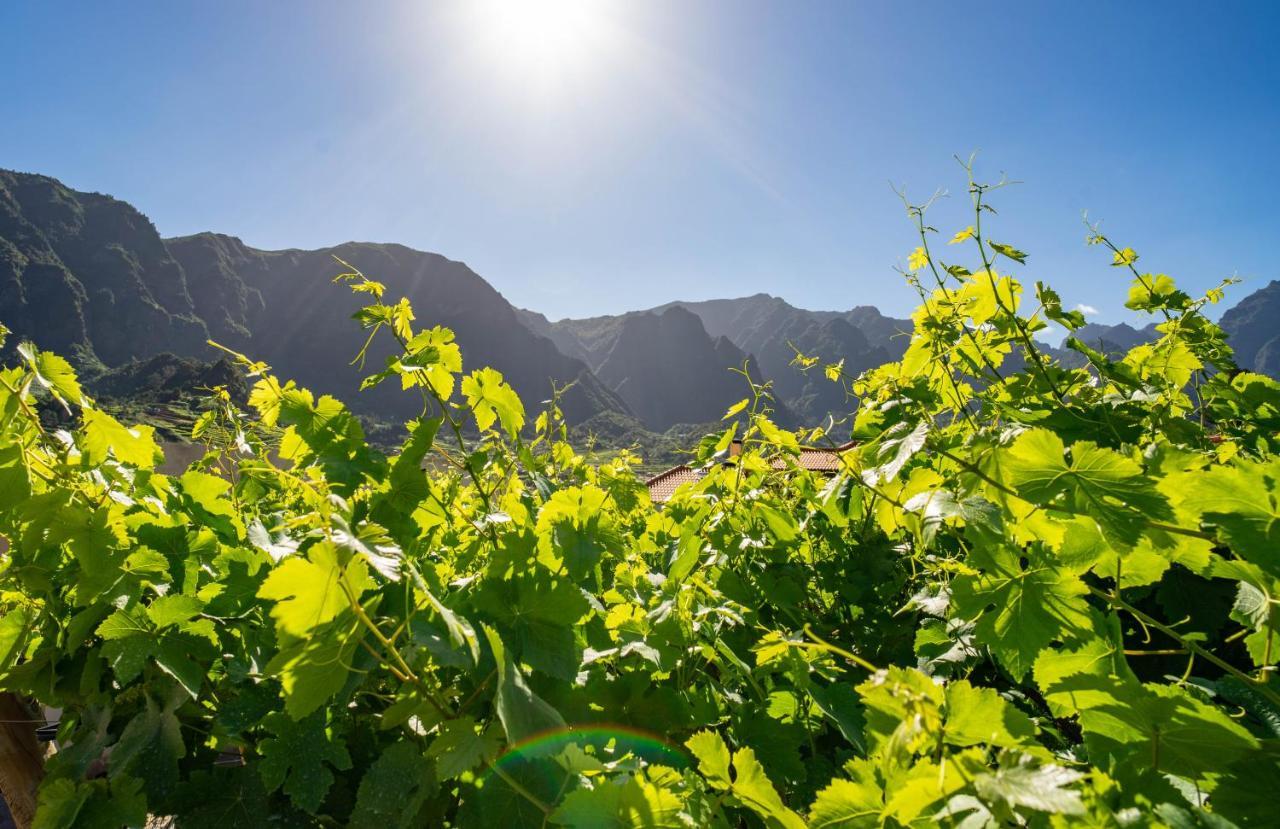 Quinta Vale Vitis Villa São Vicente Dış mekan fotoğraf