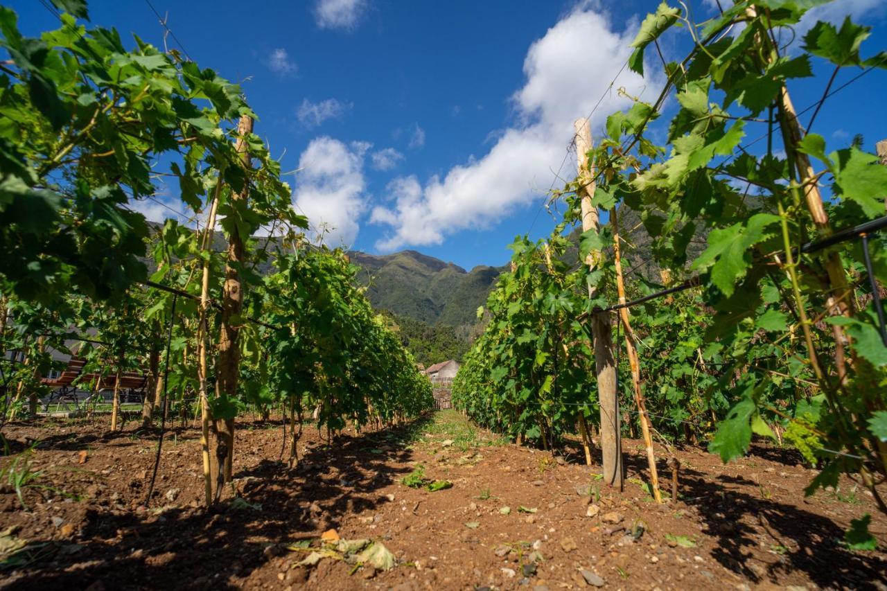 Quinta Vale Vitis Villa São Vicente Dış mekan fotoğraf